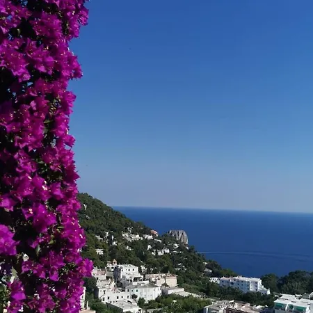La Panoramica Capri